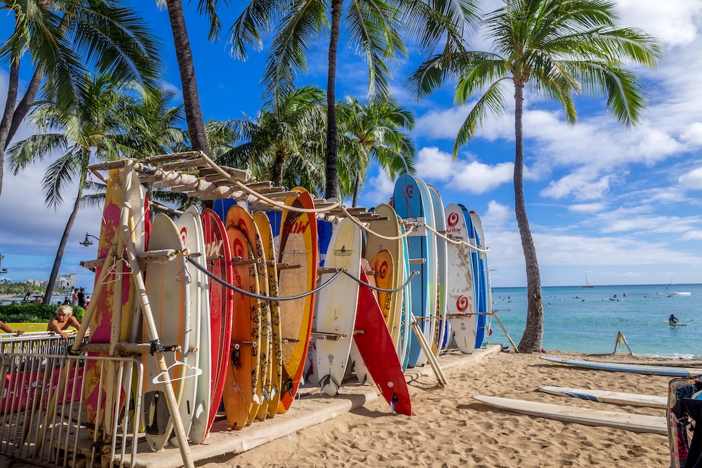 surfboards waikiki