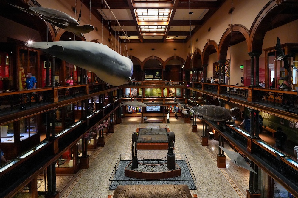 Bishop Museum, Hawaii, Interior