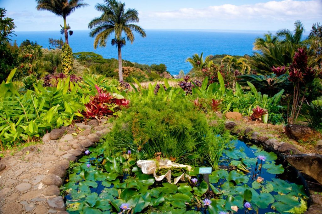 All About the Best Oahu Botanical Gardens
