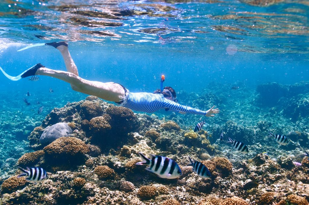 5 of the Best Oahu Snorkeling Spots