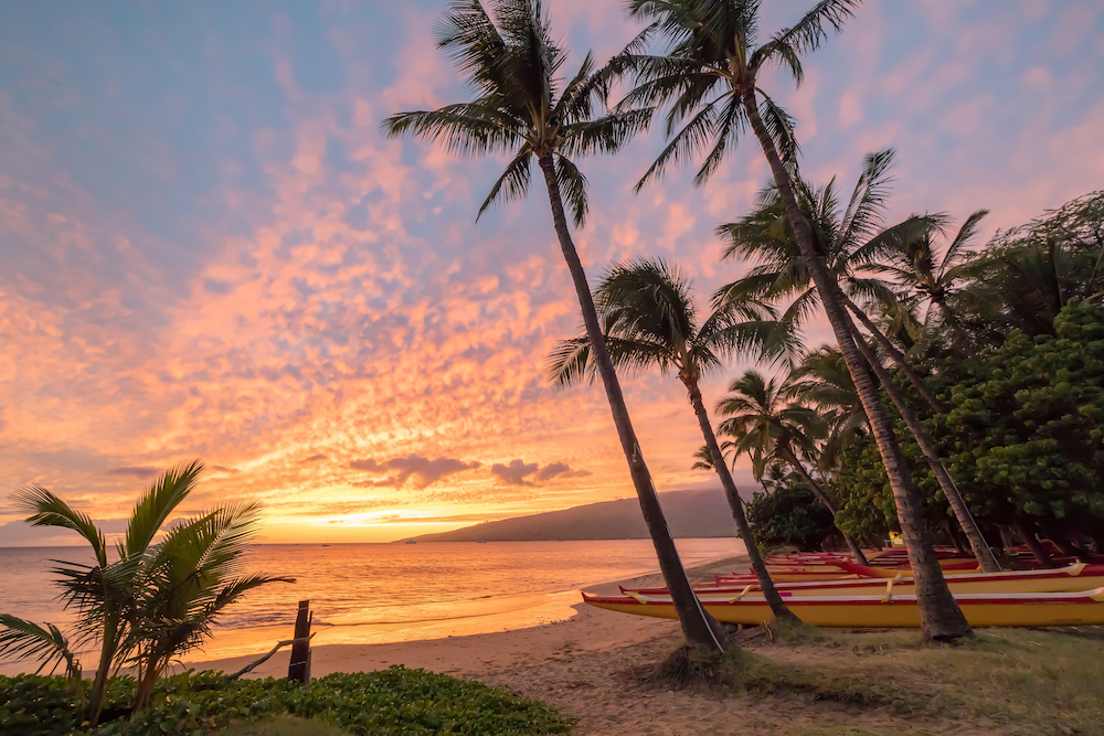 outrigger canoes in hawaii