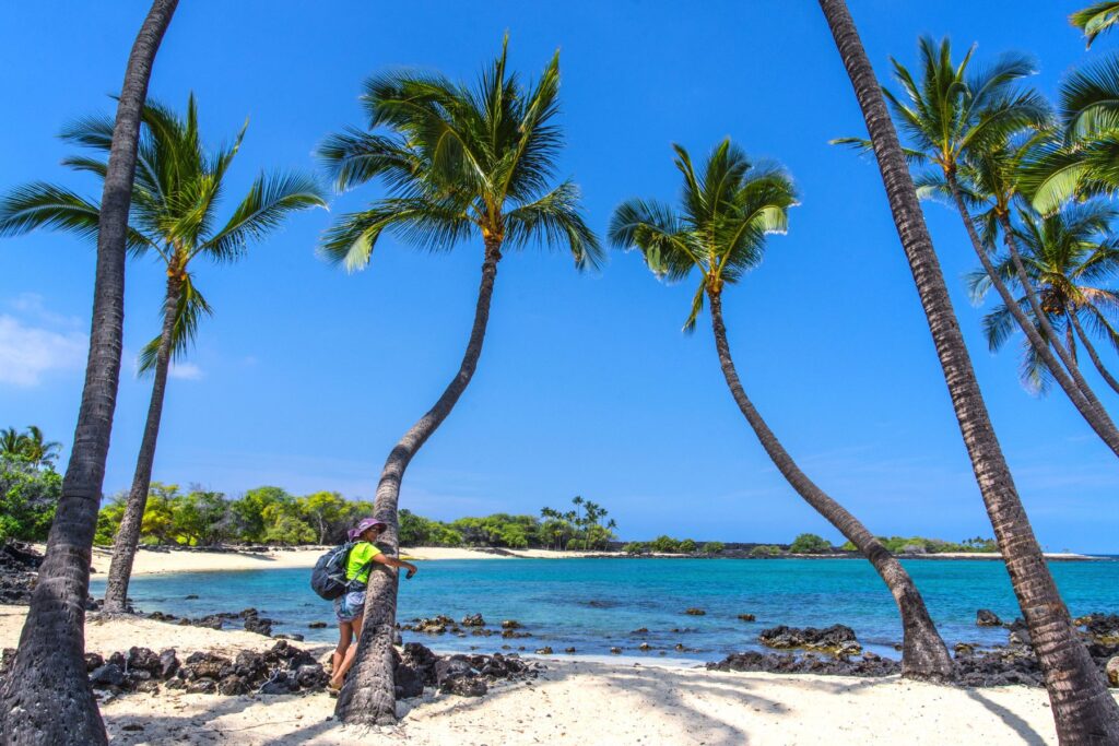 secluded big island beach