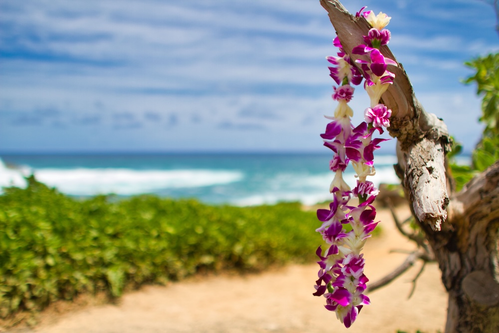 Lei at North Shore Honolulu Hawaii 