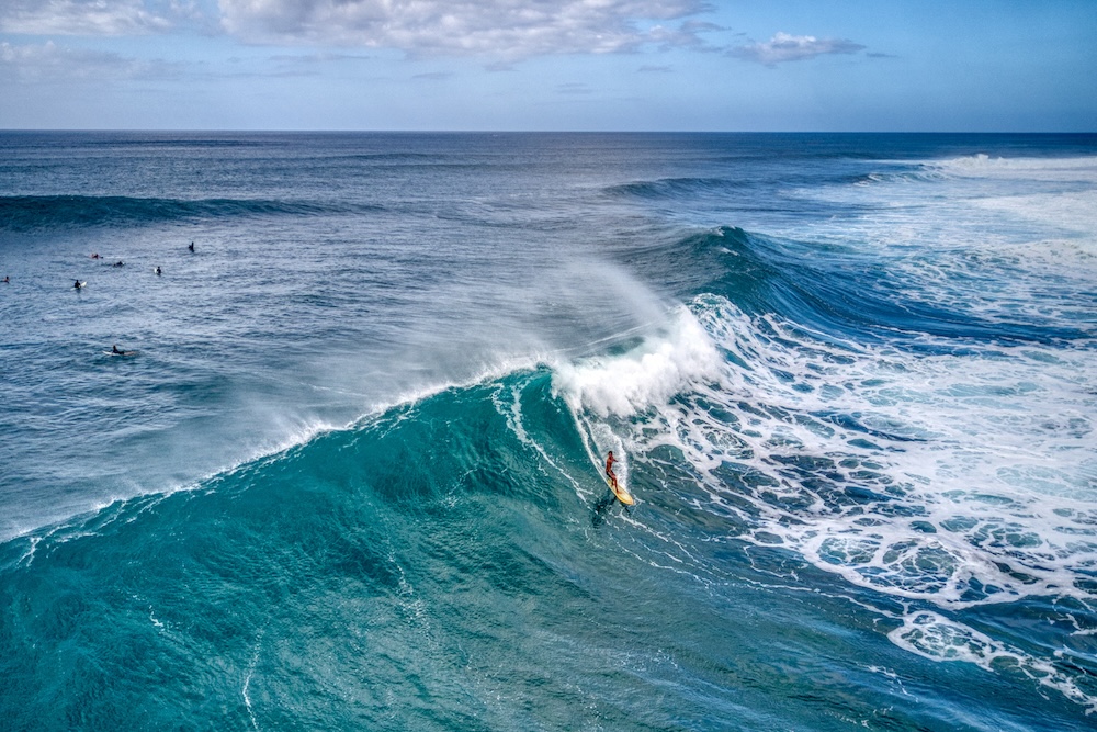 Oahu Surfer